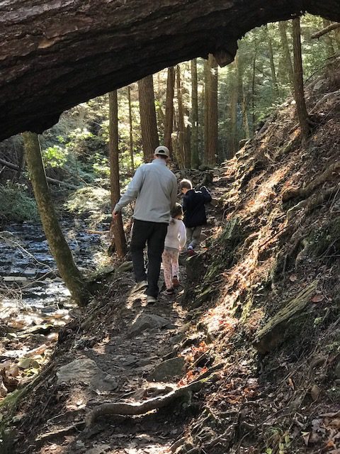 Fiery Gizzard Trail: Tracy City, TN