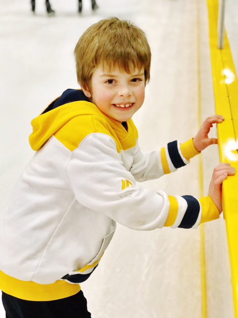 Ford Ice Center