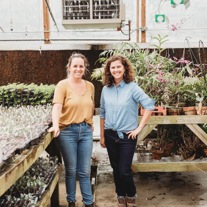 Explore Nashville: Bloomsbury Farm