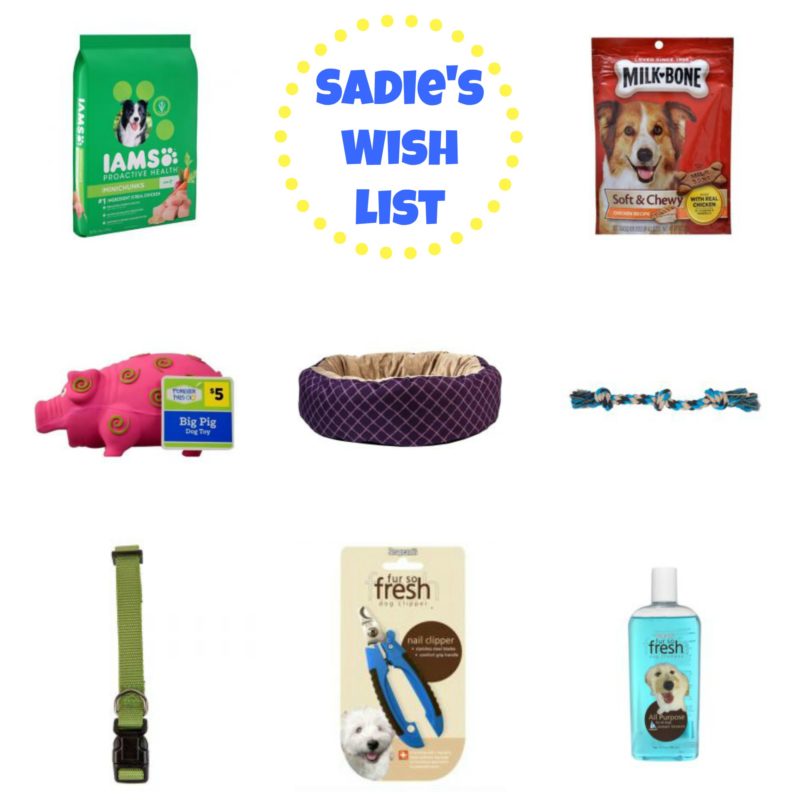 Sadie’s Birthday Wish List with Dollar General