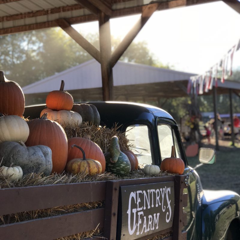 Nashville Weekend Happenings: October 26-28