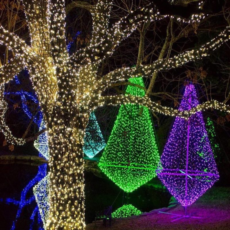 Holidays at Cheekwood