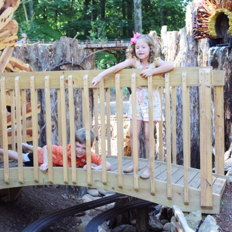 Summer Camp at Cheekwood