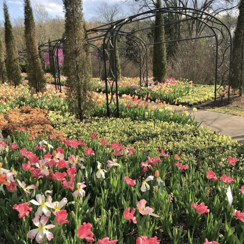 Nashville Easter Round-Up