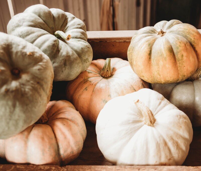 Nashville Fall Festival Guide 2019