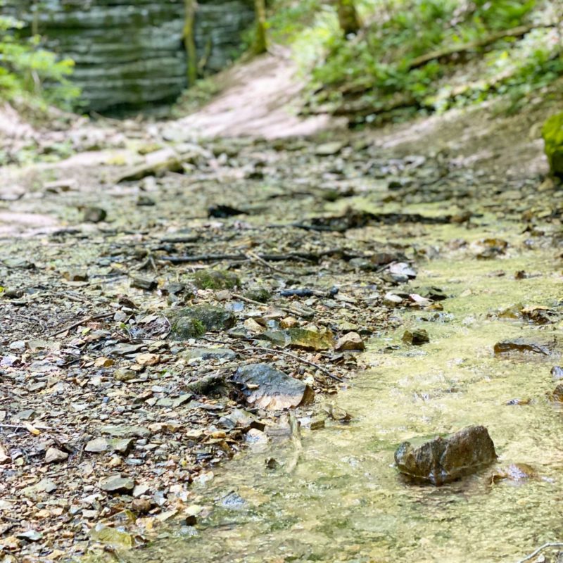 West Meade Waterfall