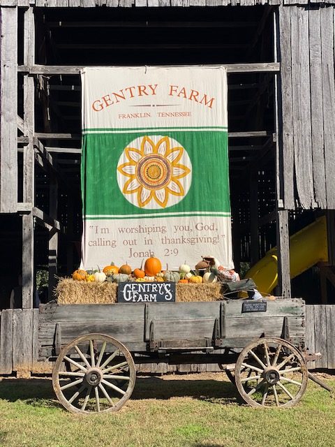 Pumpkin Patch Round Up