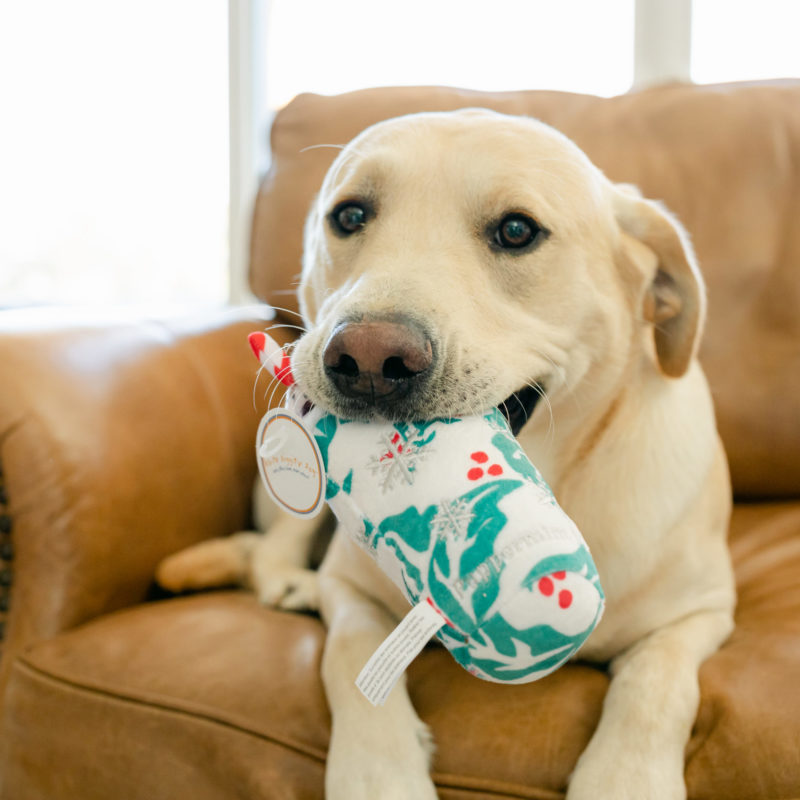 Nashville Weekend Happenings: Nov. 19-22