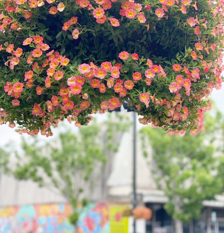 Nashville Weekend Happenings: June 3-6