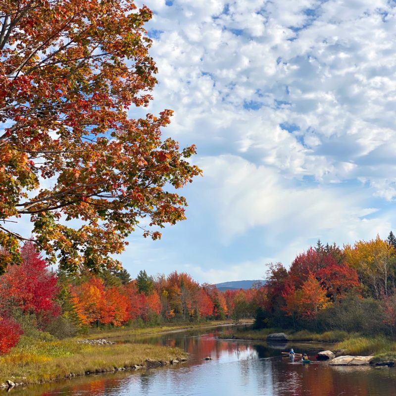 Acadia National Park