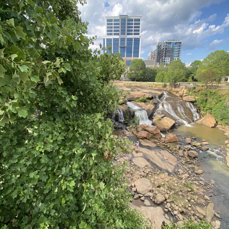 Yeah, That Greenville