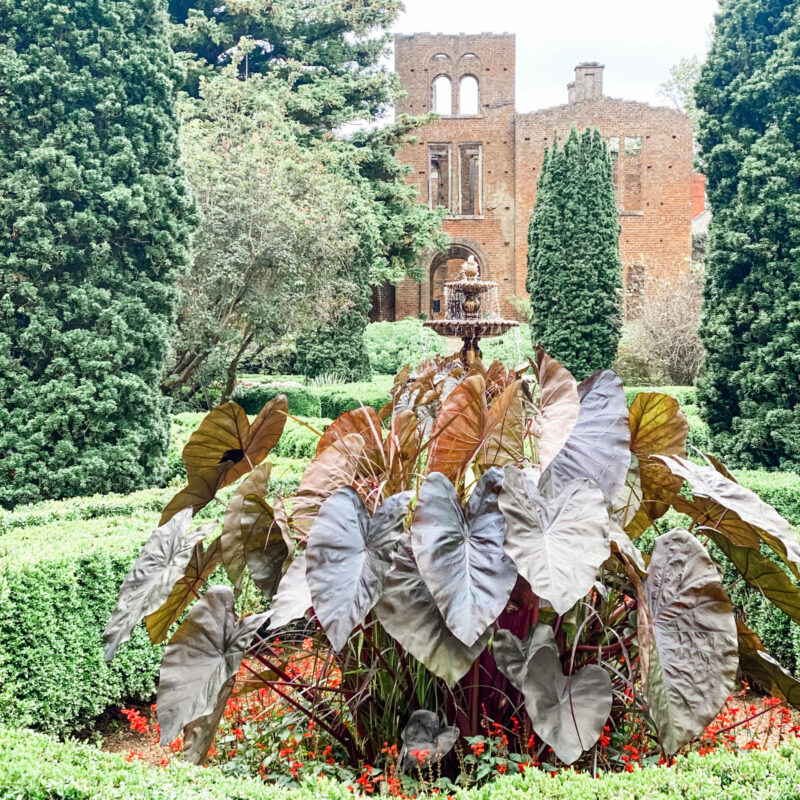 Labor Day at Barnsley